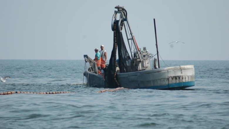 A boat fishes for Menhaden in the Chesapeake Bay