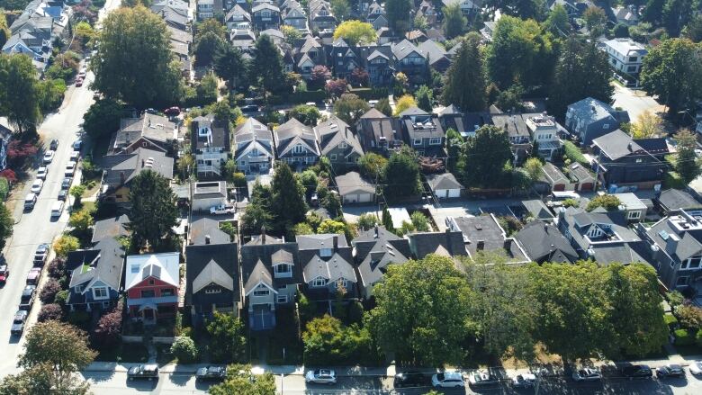 Blocks of houses in a neighbourhood from a bird's eye point of view.