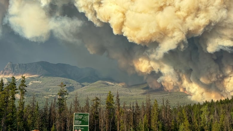 Smoke can be seen rising from a wildfire near Jasper.