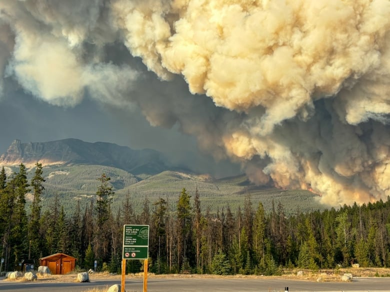 Smoke can be seen rising from a wildfire near Jasper.