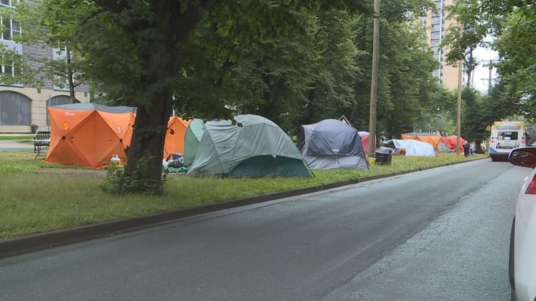 Tents on a grassy median in between two buildings.