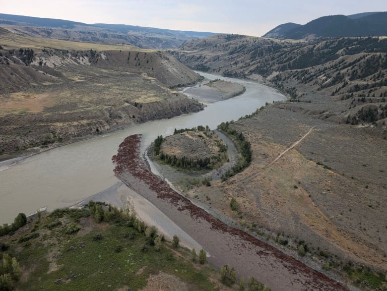 An aerial view of the confluence of two rivers: the smaller one is full of wood debris.