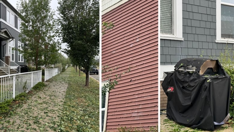 three images compiled together showing various indications of hail damage to property. sidewalk covered in leaves, a barbecue dented, and house siding