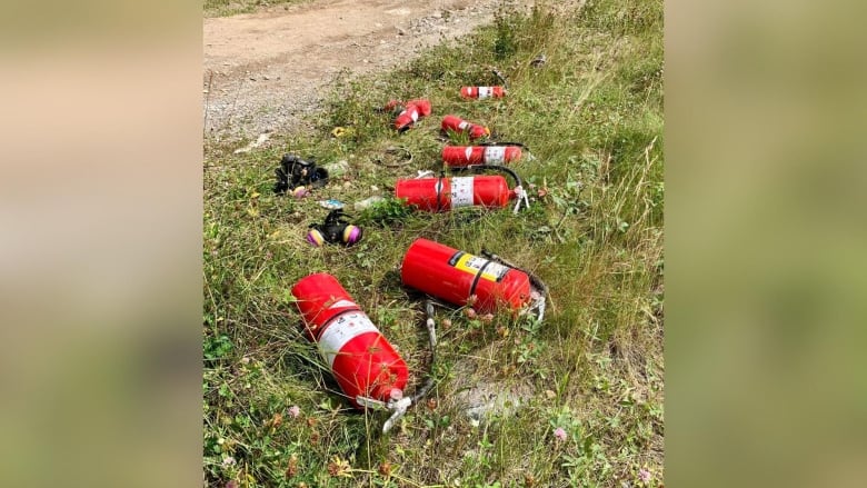 Several small red fire extinguishers are seen on the grassy ground.