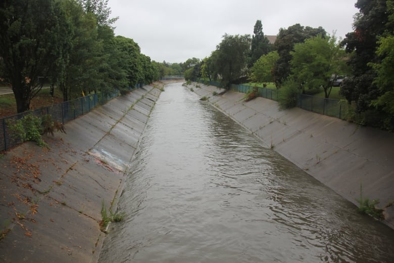 A drain collects water during a rainy day in Windsor. The concrete banks of the drain give way to trees and chainlink fences on either side. In the distance the sky is grey