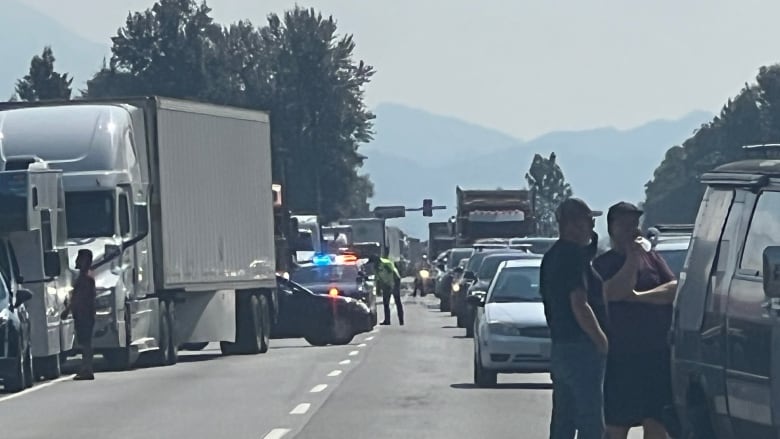 Vehicles stopped on a highway, due to a collision. There are police lights flashing behind a car that is sideways on the road and a truck that is partially pulled over. People are outside of their parked cars.