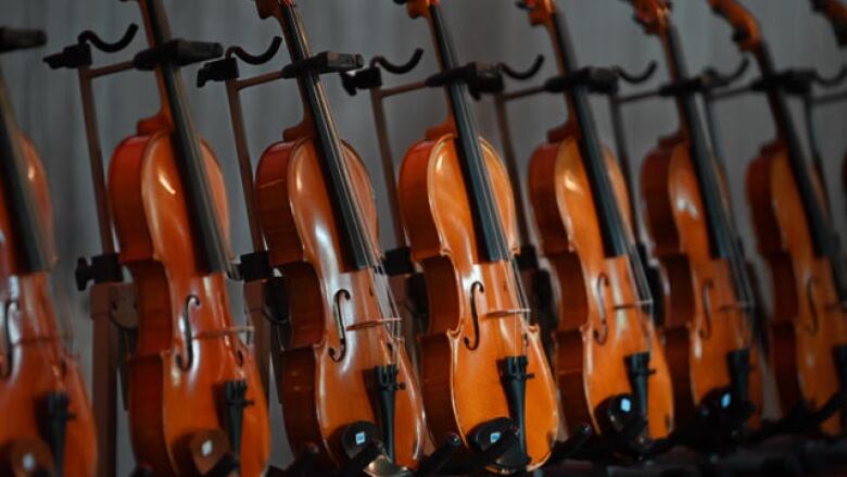 A row of fiddles are illuminated by a warm light that reflects off the glossy surface of each fiddle.