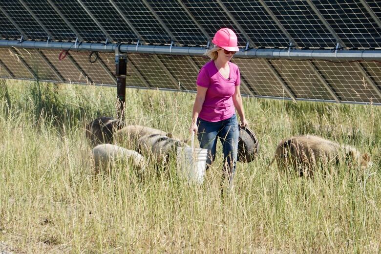 A farmer walks in grass with pigs following her.