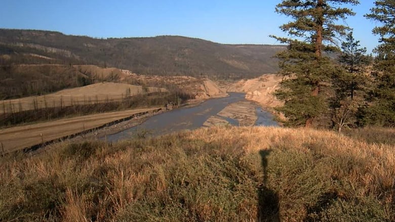 A river on a sunny day. 