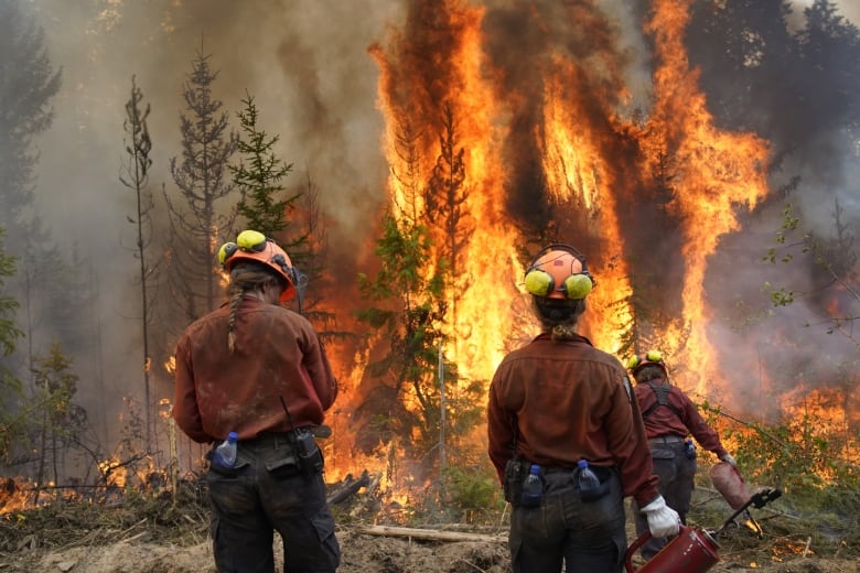 Wildfire fighters look at a roaring fire consuming a tree.