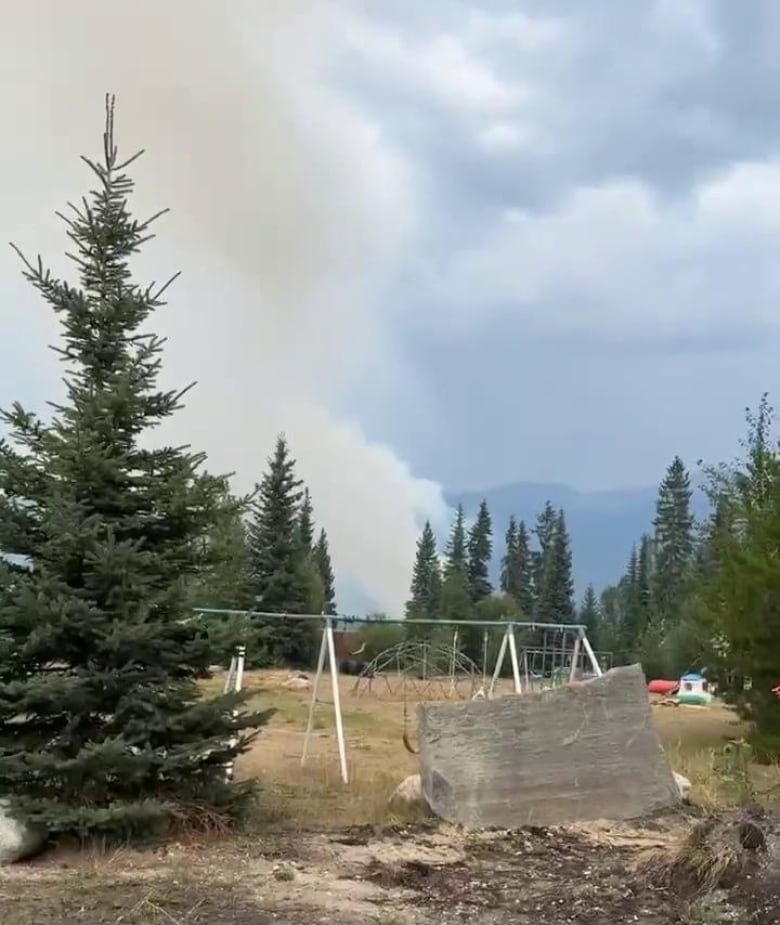 Plumes of smoke seen from a park.