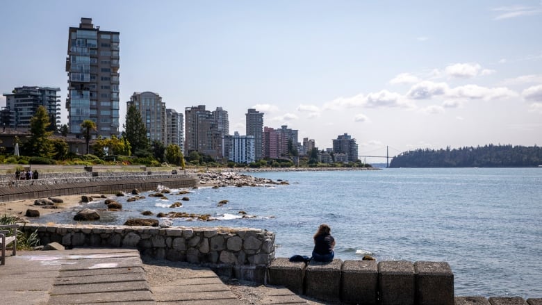 Apartment buildings are pictured in the background of a picturesque water body.