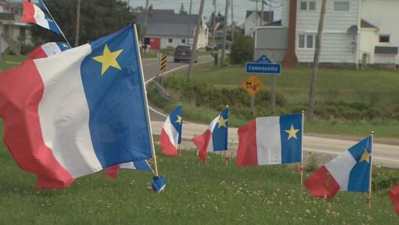 Red white and blue flags on a lawn.