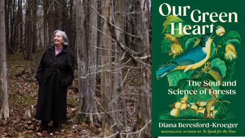 A white woman with a grey bob stands in the forest. A green book cover shows an illustrated bird perched among leaves and nuts.