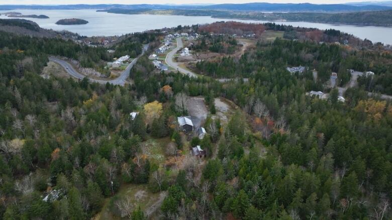 A birds-eye view of wooded property with a river on the horizon.