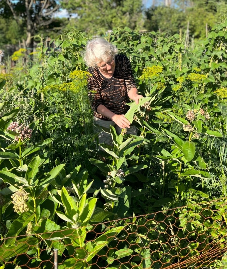 A older woman with short grey hair in a garden