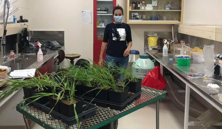 A woman wearing a mask walks through a room filled with lab equipment and some green plant samples. 