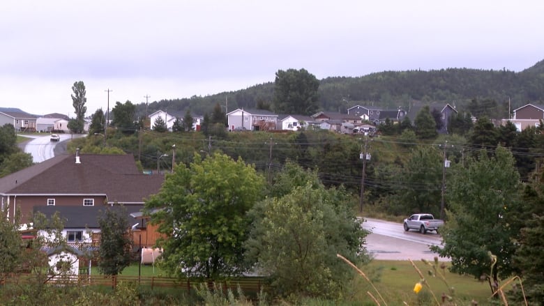 A residential area with trees and houses. 