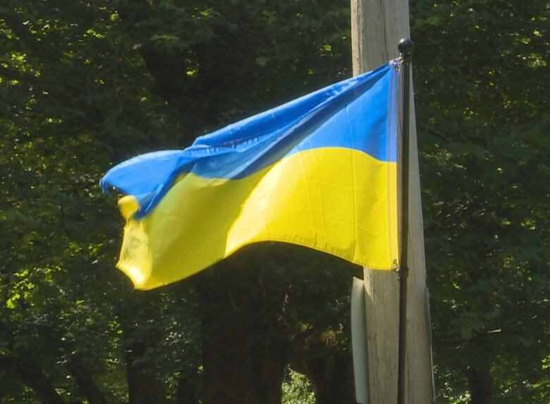 A Ukrainian flag on a pole.