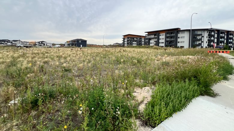 A grassy field is seen near new housing