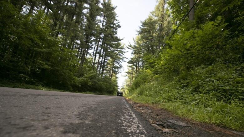 car driving through woods