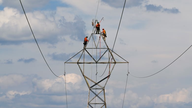 Workers working on a hydro line.