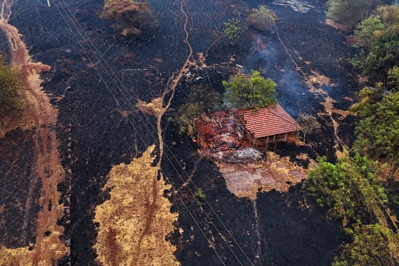 An aerial view of fire and smoke on a blackened landscape