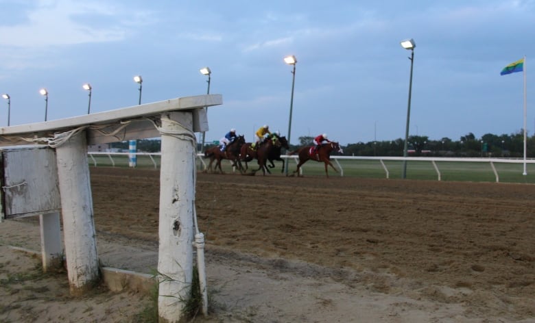 Horses run along a racetrack.