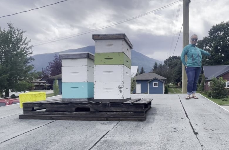 A woman stands on the roof of her house with a couple crates of beehives.