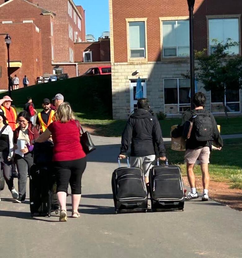 Several people pulling luggage walk to a university campus.