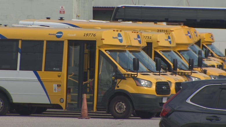 Rows of small yellow buses are seen parked at a depot.