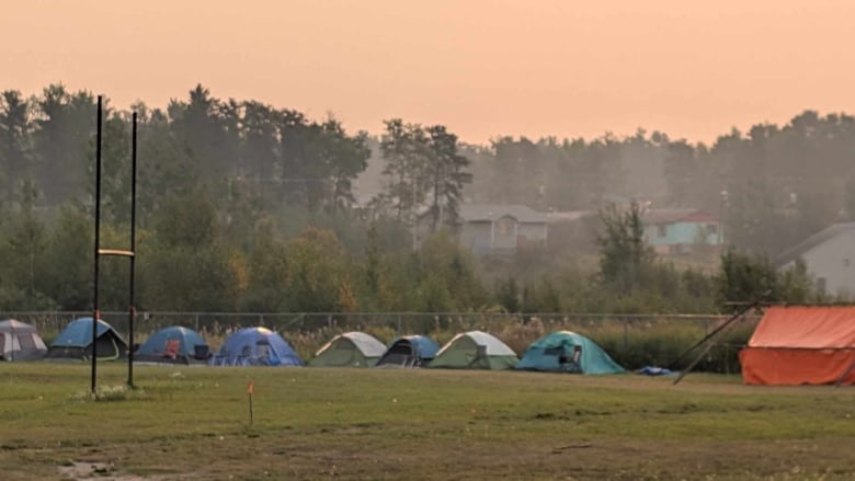 Tents located in a grassy area