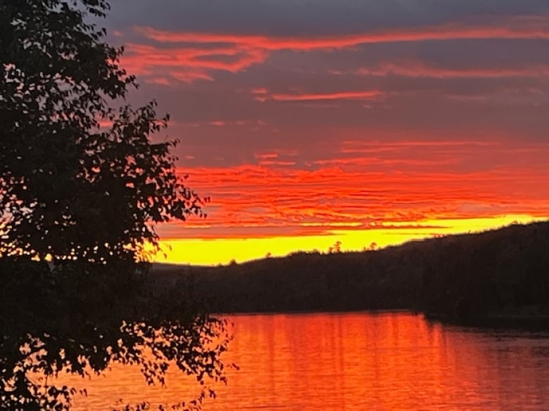 The sun sets in a rosy glow over a river lined by trees.