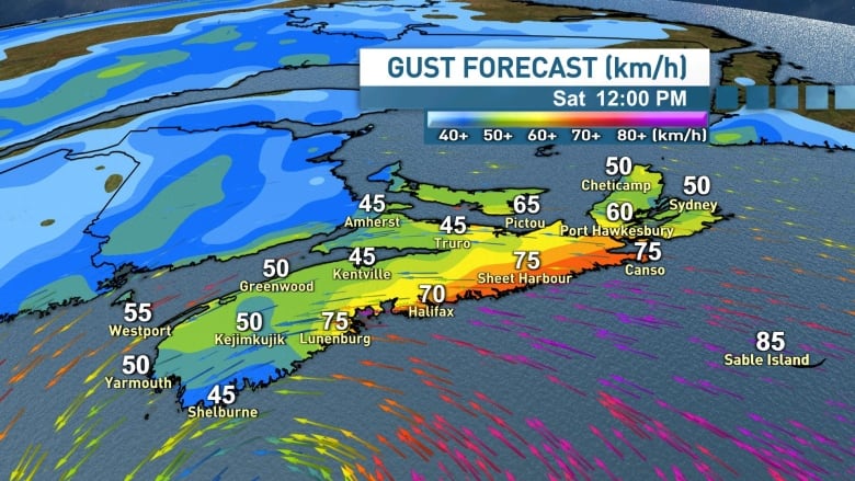 Winds will ramp up through Saturday morning.