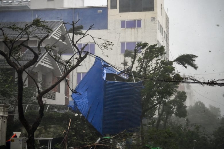 Debris of a destroyed fence gets tangled in trees during a typhoon. 