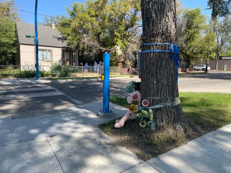 A blue crosswalk and tree where people have left flowers and toys for Baeleigh Maurice.