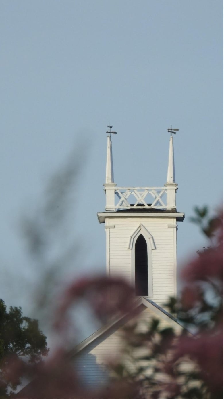 A white church steeple is visible between some branches.