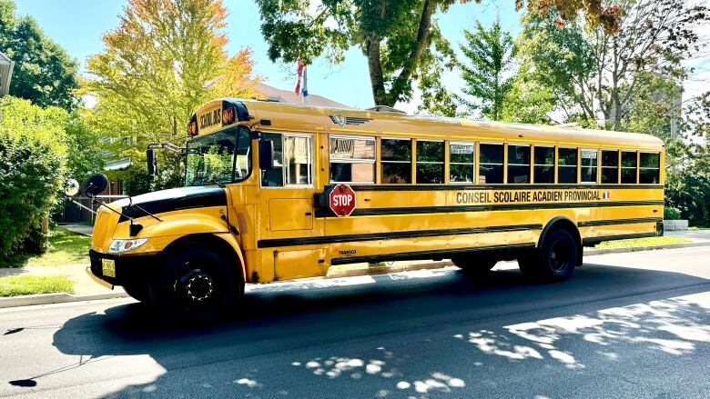 A school bus on a street.