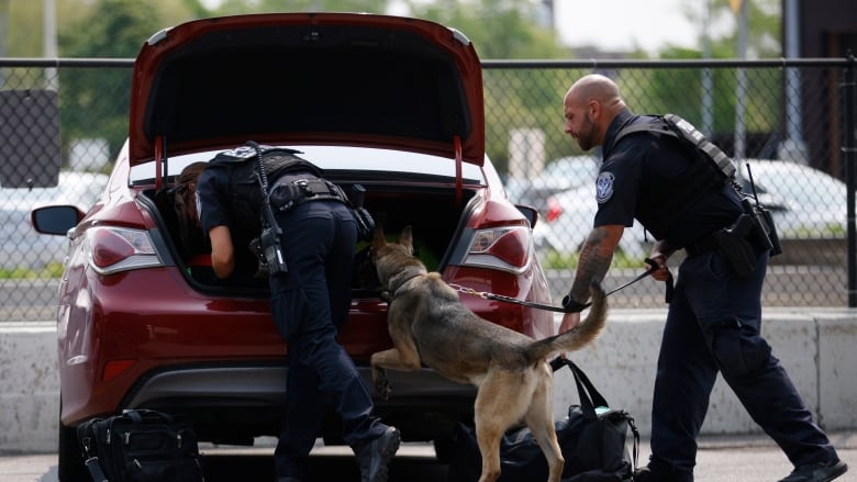 U.S. Customs and Border Protection officers search vehicles with the help of a canine at the Peace Bridge Port of Entry in Buffalo, N.Y. on Tuesday, May 23, 2023. U.S. border agents used helicopters and a fixed-wing airplane to round up 124 people earlier this year along the Canada-U.S. border.