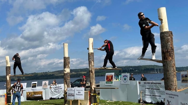 Men using an ax to chop a log, while standing on boards mounted into the logs.