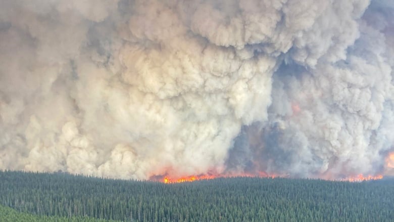 Smoke fills the sky from a line of flames across a forested hill.