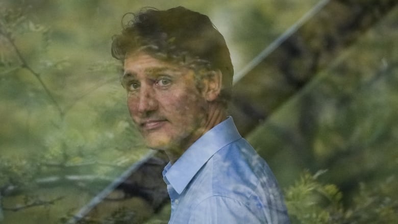 A man in a blue shirt looks through a window. His face is slightly obscured by the reflection of tree branches.