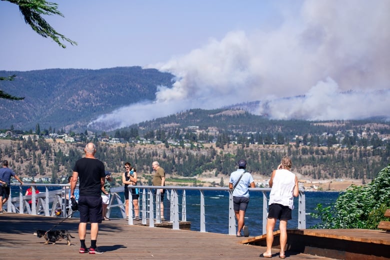 A group of people along a waterfront watch plumes of smoke and fires across from them on forested hills.