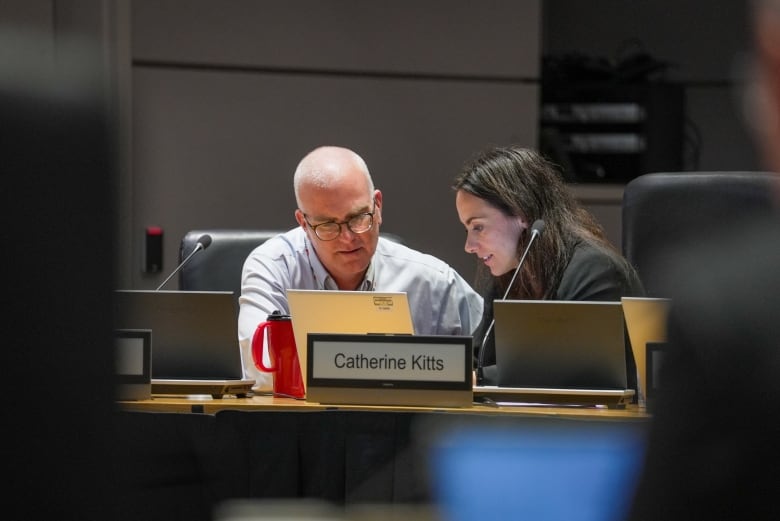 A man points to something on a laptop that a woman is looking at