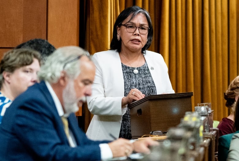 An MP rises in the House of Commons and speaks from a small podium.