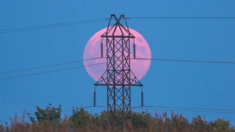 A full moon rises in a blue twilight over a field, obscured by a telephone pole and wires.