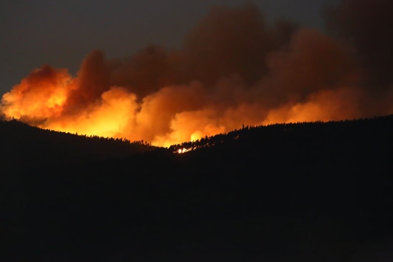 A fire is seen on the hills around Sever do Vouga, a town in northern Portugal.