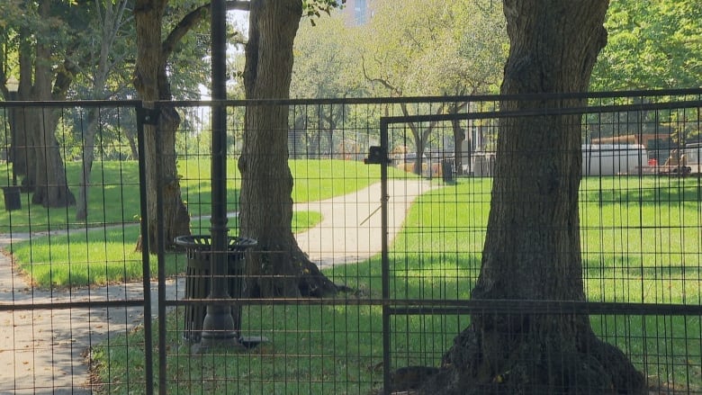 Black fencing is seen around multiple trees and sloping parkland with green grass