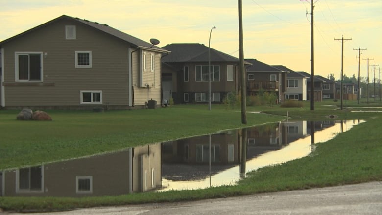 A pond is outside a group of houses.