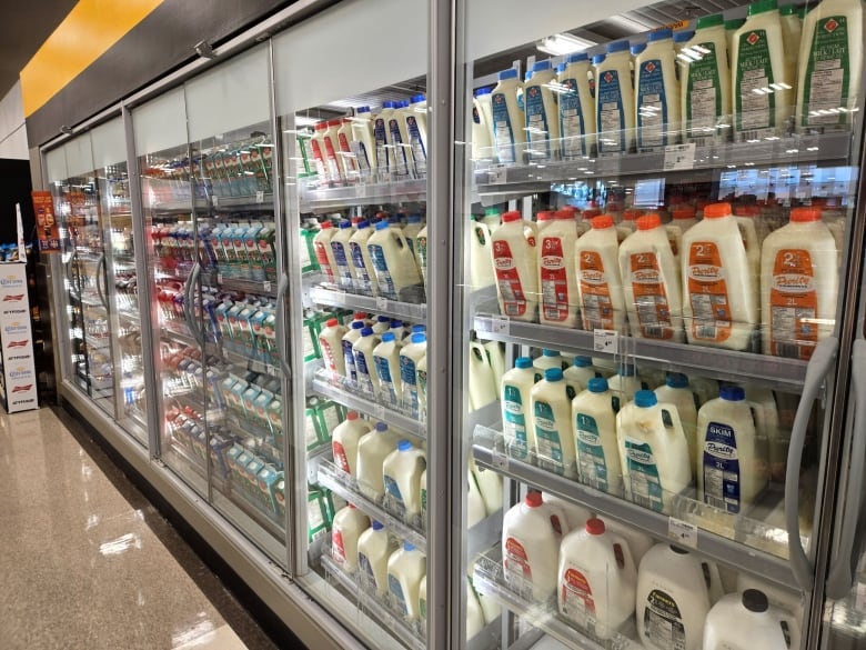 Jugs of milk in a refrigerator in a grocery store.